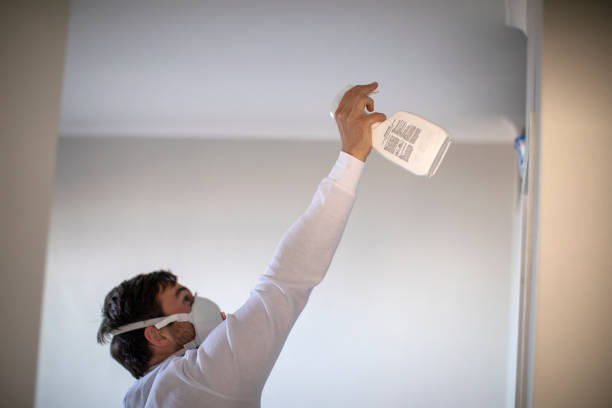 Best Water Damage Restoration  in Woodmoor, CO
