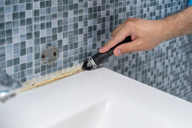 Best Best Mold Removal Companies  in Woodmoor, CO