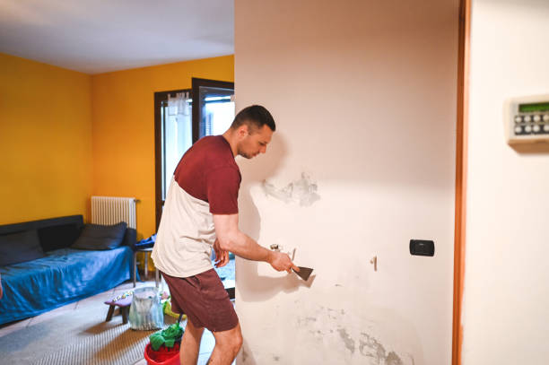 Best Attic Mold Removal  in Woodmoor, CO